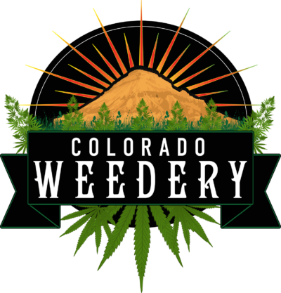 Colorado Weedery Recreational Marijuana Dispensary