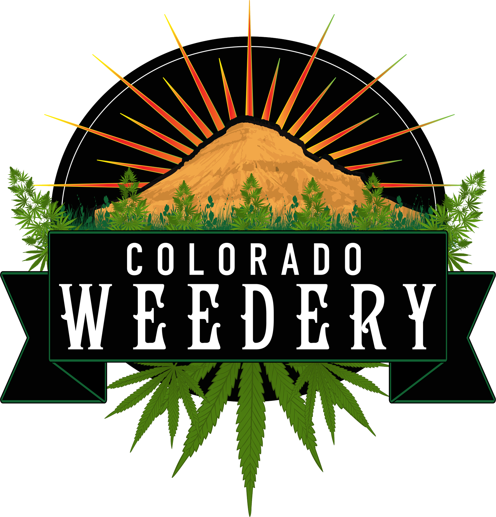 Colorado Weedery Recreational Marijuana Dispensary